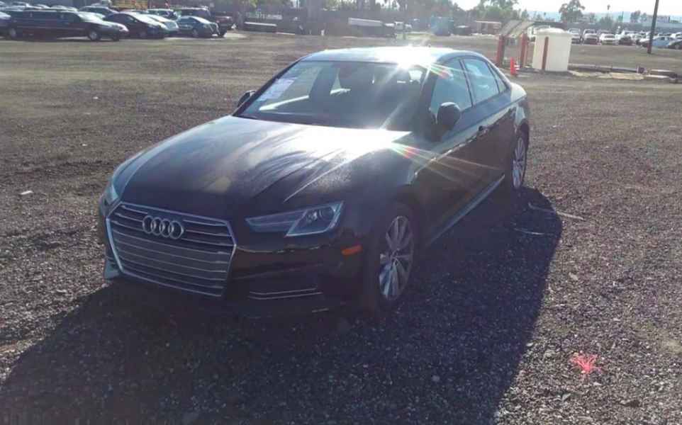 sprowadzanie aur z ameryki